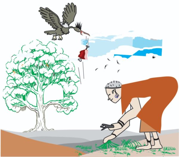 CiakorireWacũ mũgũnda CiakorireWacũ mũgũnda